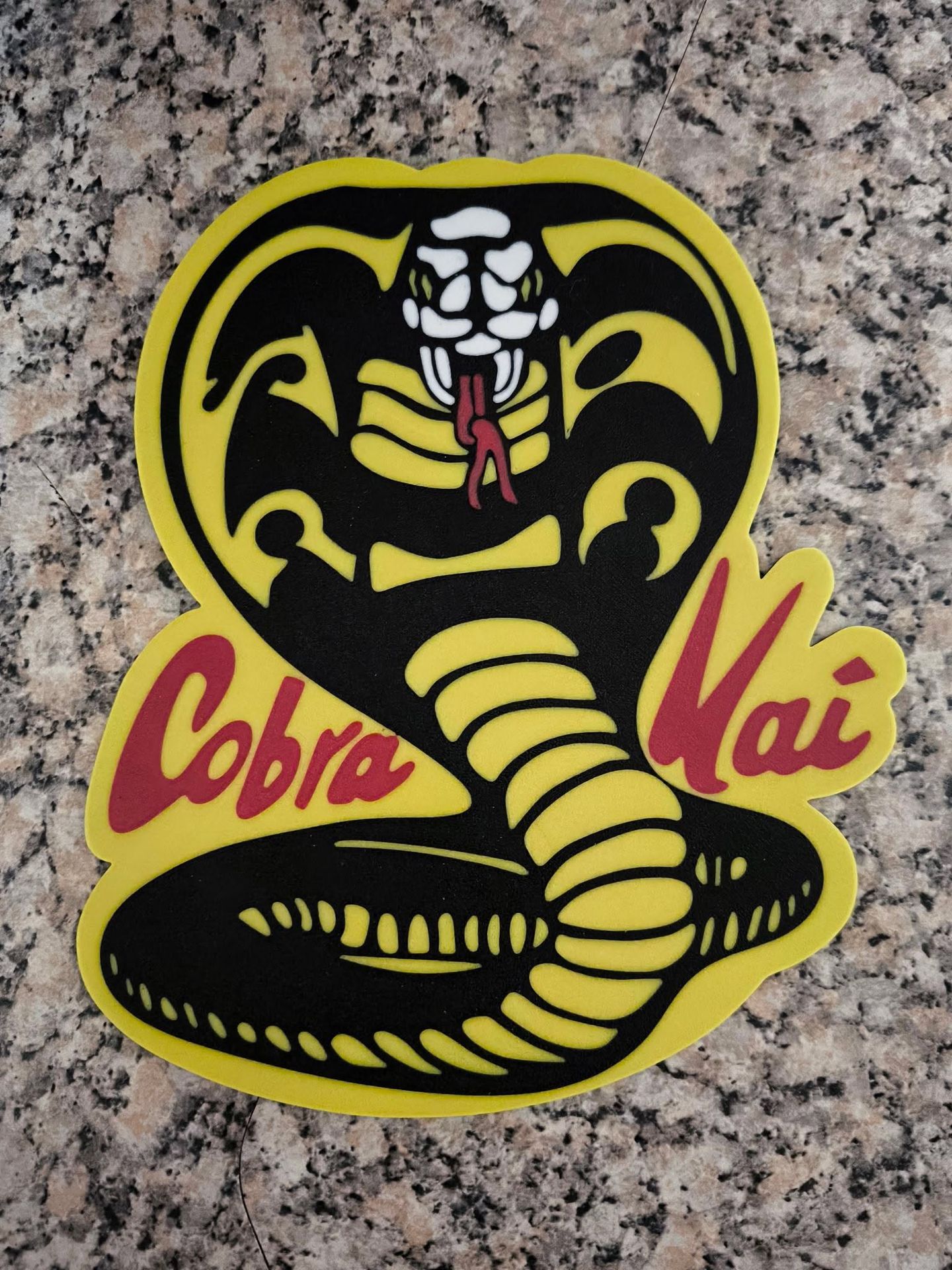 décoration cobra kai