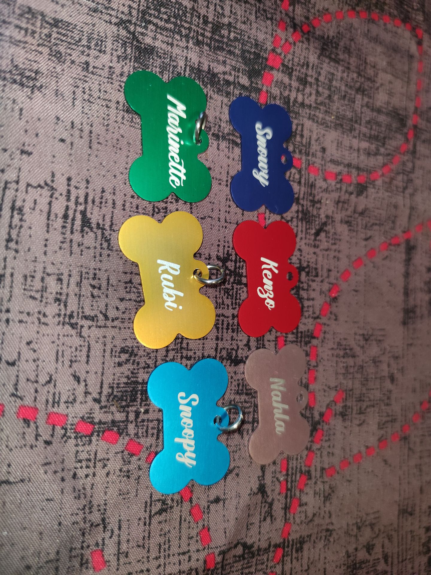 médaille pour chien/chat