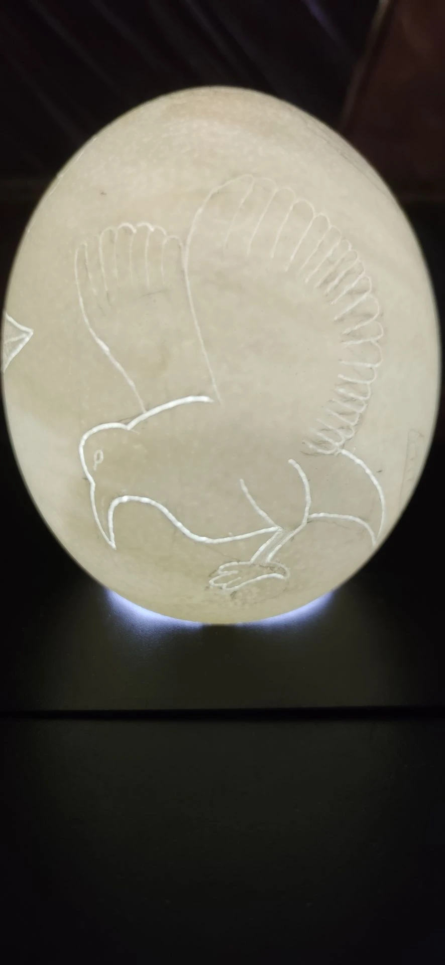 œuf d'autruche en cours de gravure