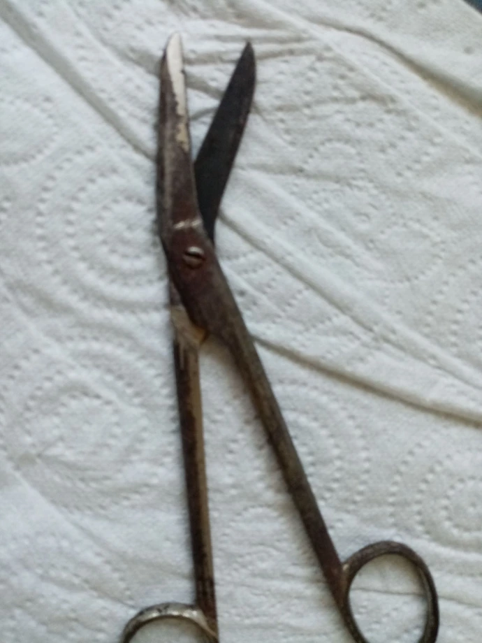 Ciseaux rouillés avant restauration