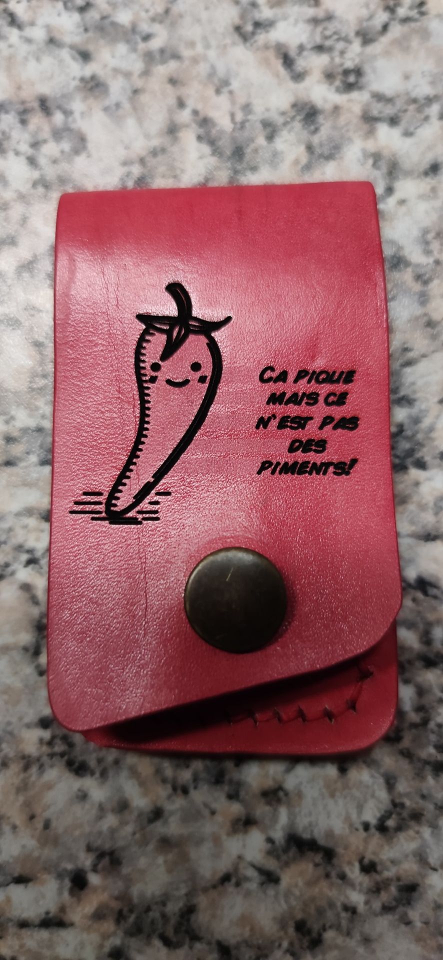 porte aiguille en cuir gravure humoristique